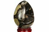 Septarian Dragon Egg Geode - Black Crystals #143142-1